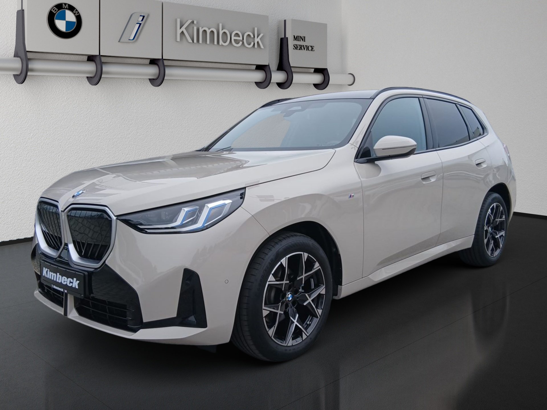 BMW X3 X3 20d xDrive M SPORT LED ACC AHK ParkAss Standhz (Bild 2)